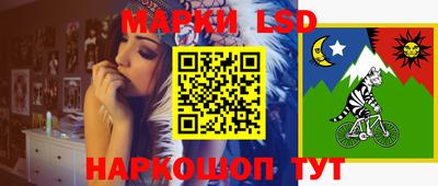 молекула духа Краснознаменск