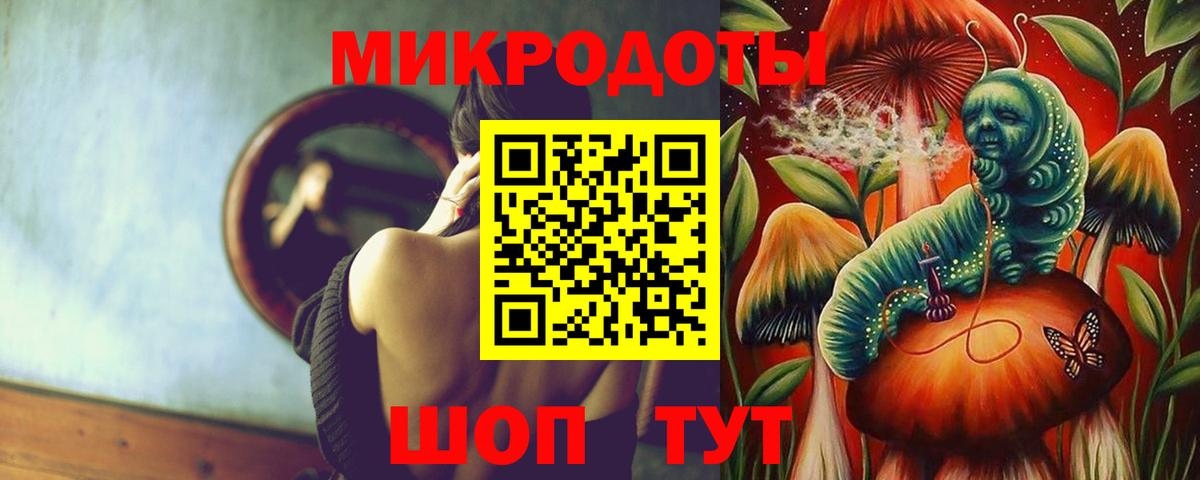 Псилоцибиновые грибы Cubensis Кингисепп